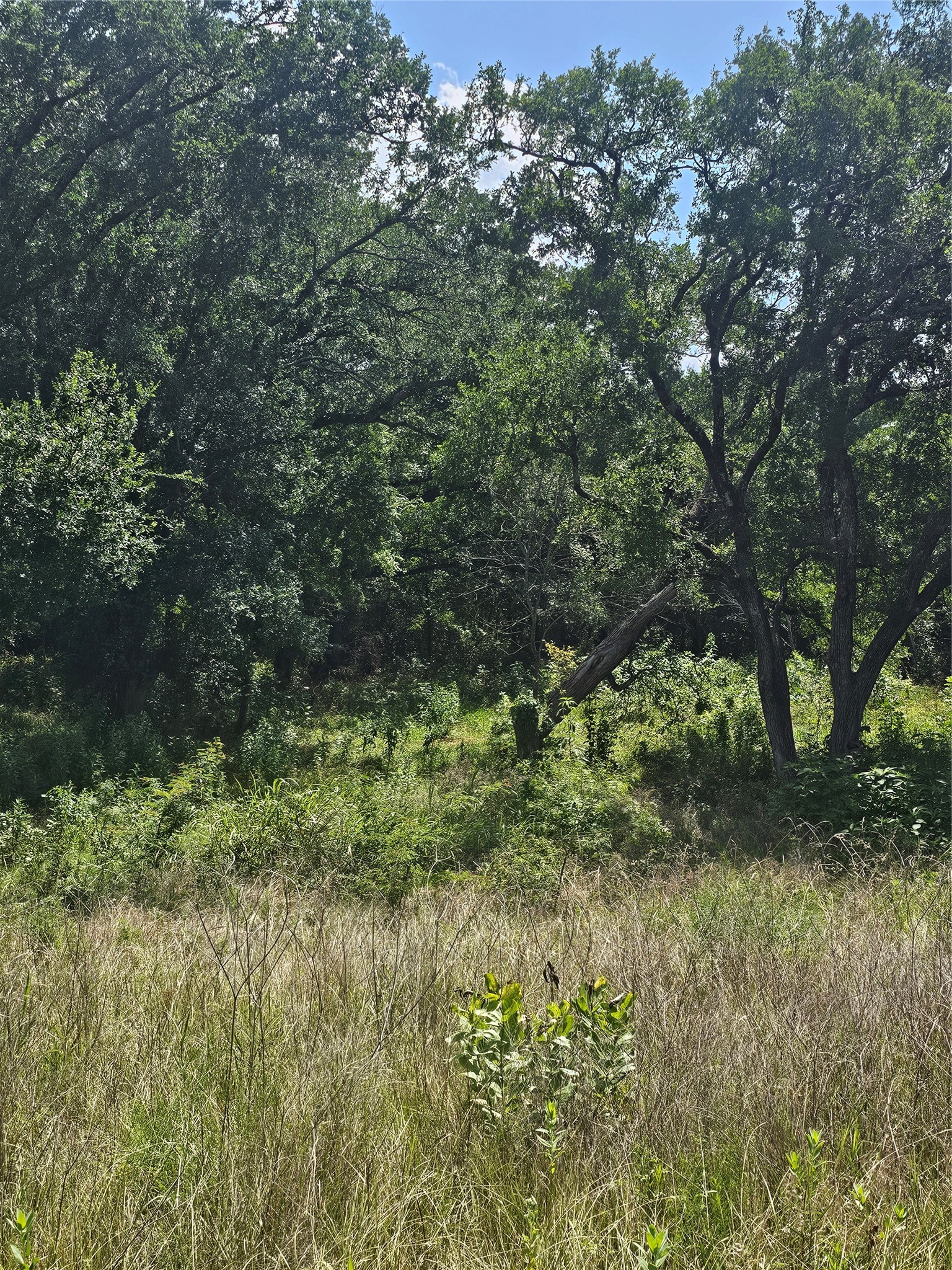 101 Pr 240 Whitney TX 76692