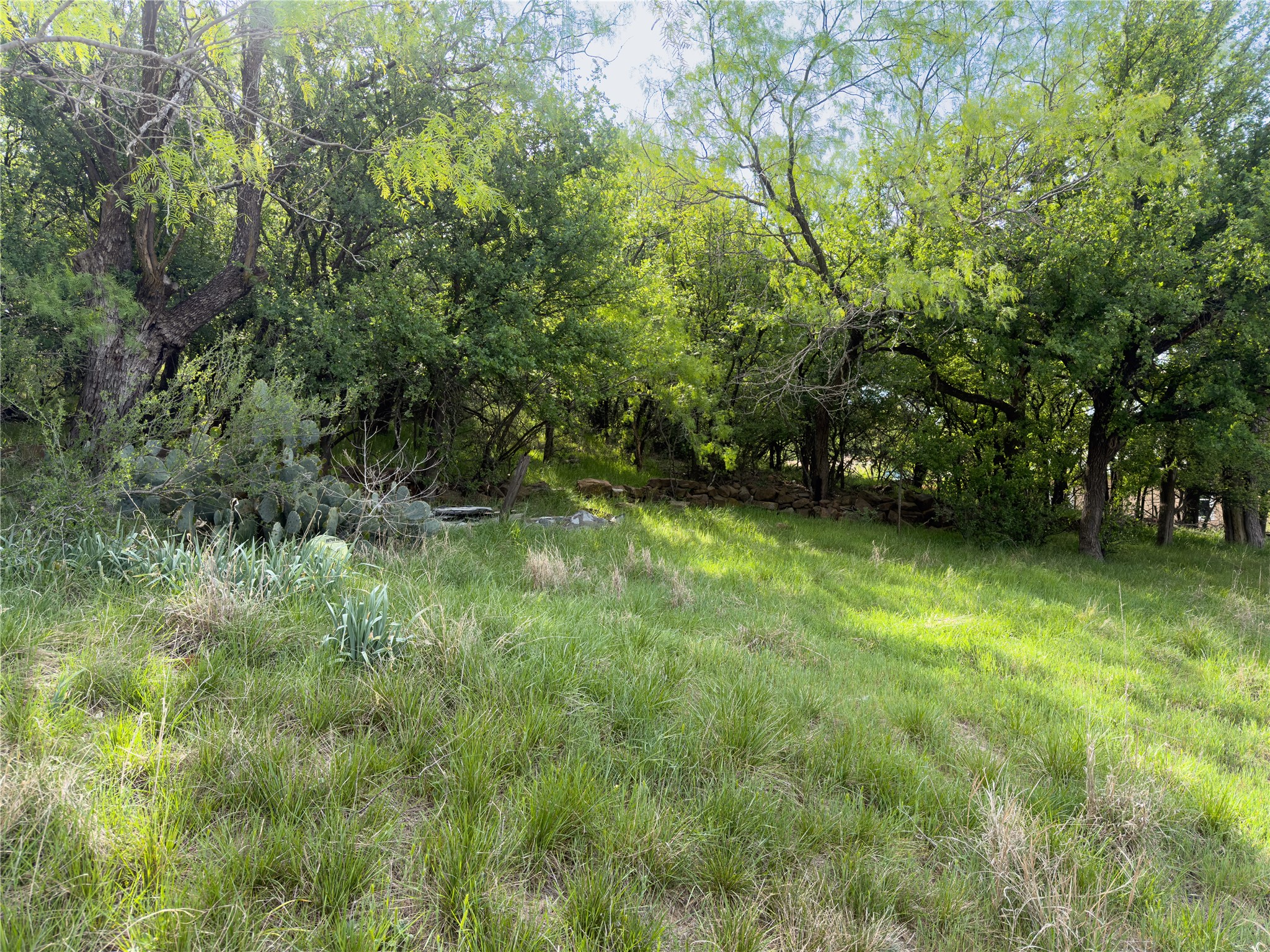 00 NE 9th Avenue Mineral Wells TX 76067