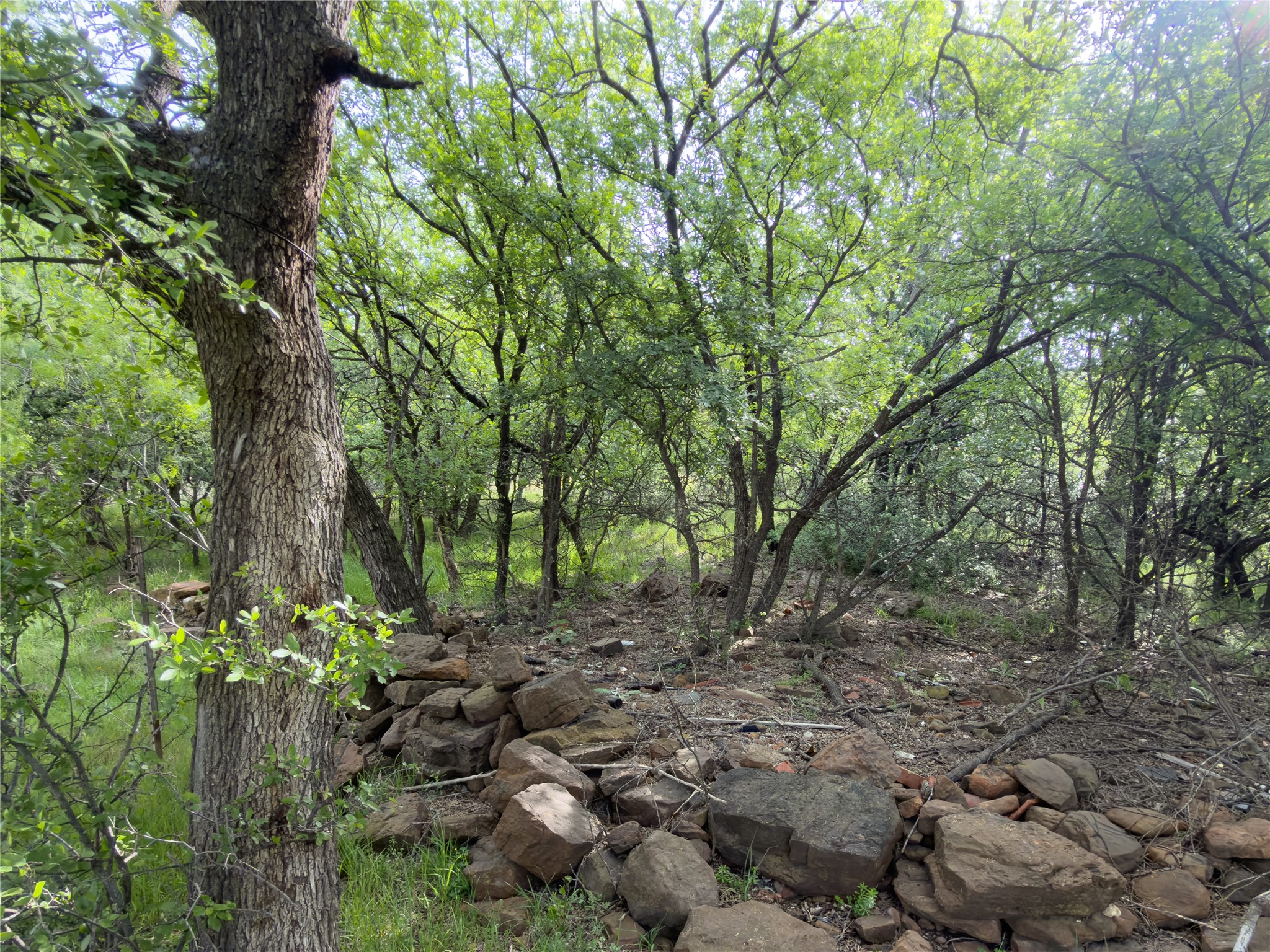 00 NE 9th Avenue Mineral Wells TX 76067
