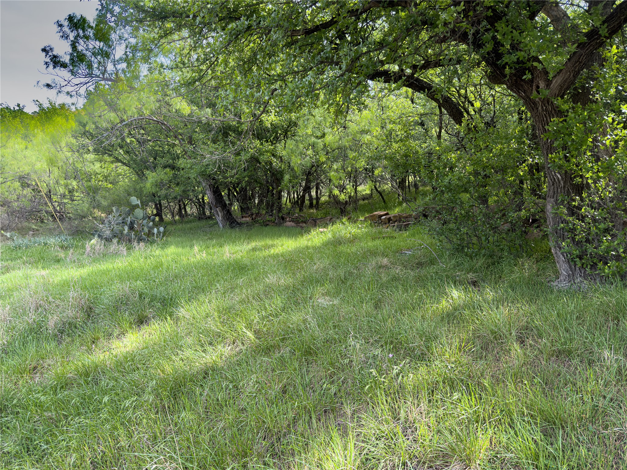 00 NE 9th Avenue Mineral Wells TX 76067