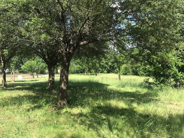 420 Kinney Drive Murphy TX 75094