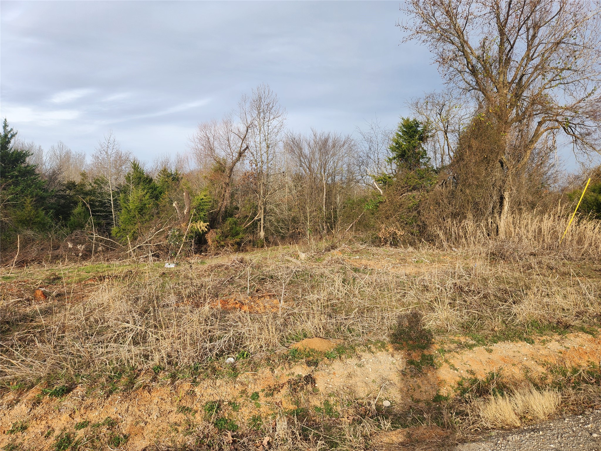 Lot 16 Cr 2341 Sulphur Springs TX 75482