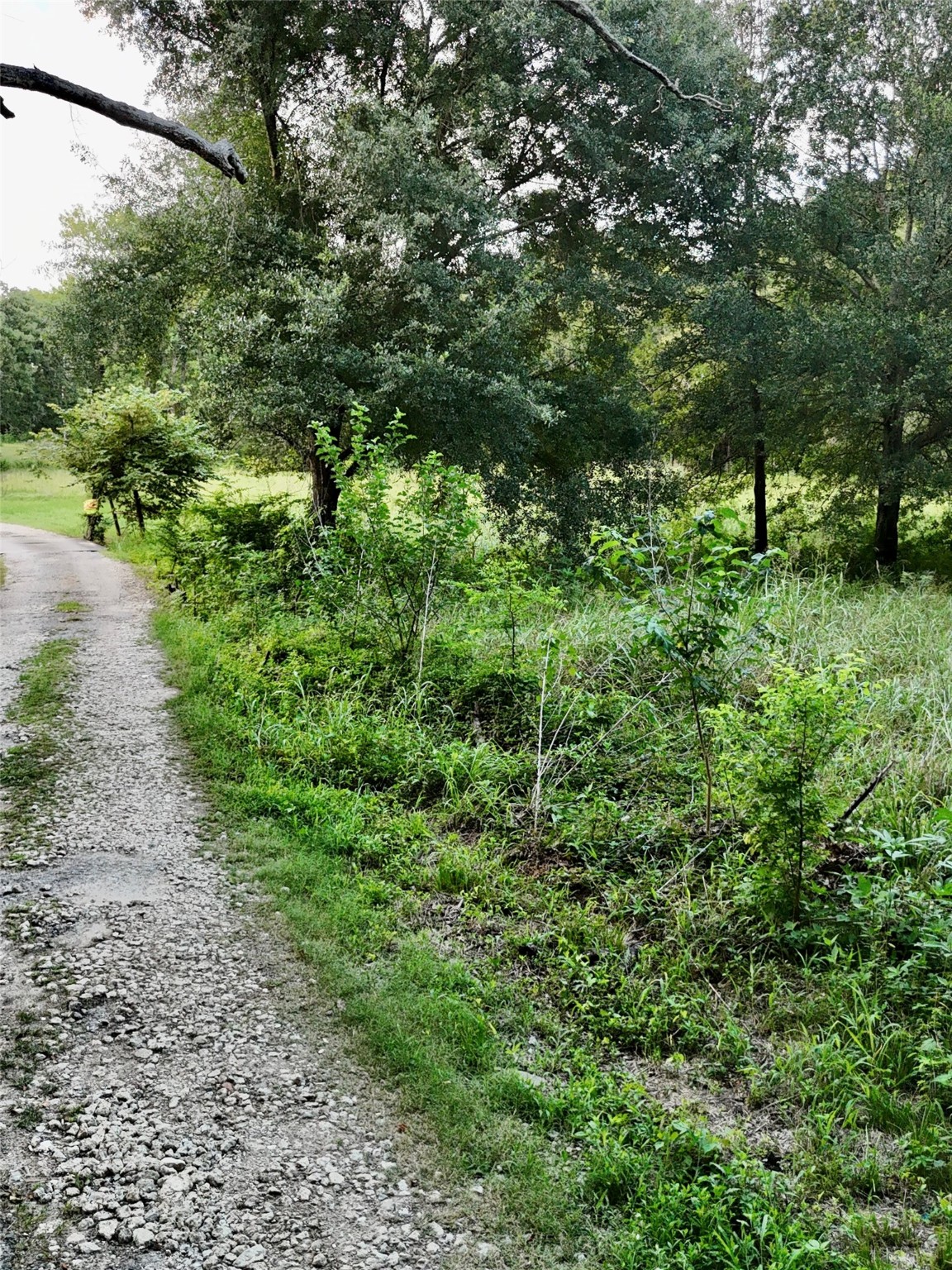 Tbd State Highway 31 E Malakoff TX 75148