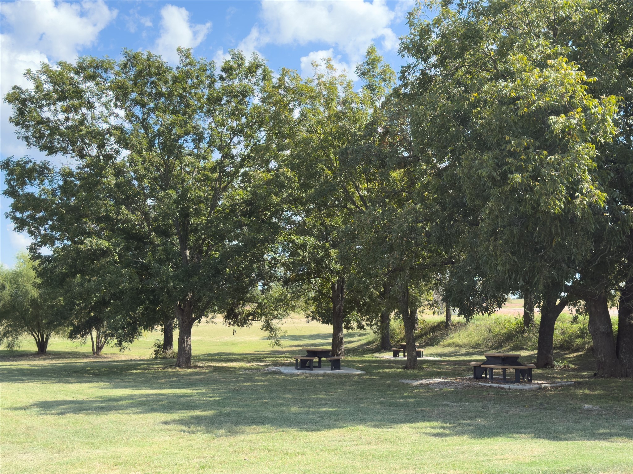 330 Rolling Ranch Boulevard Alvord TX 76225