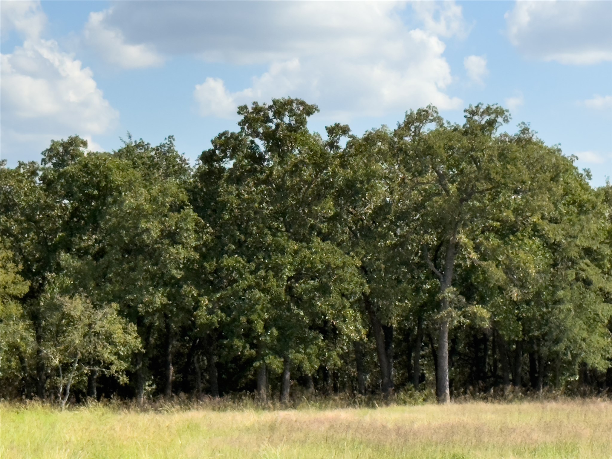 330 Rolling Ranch Boulevard Alvord TX 76225