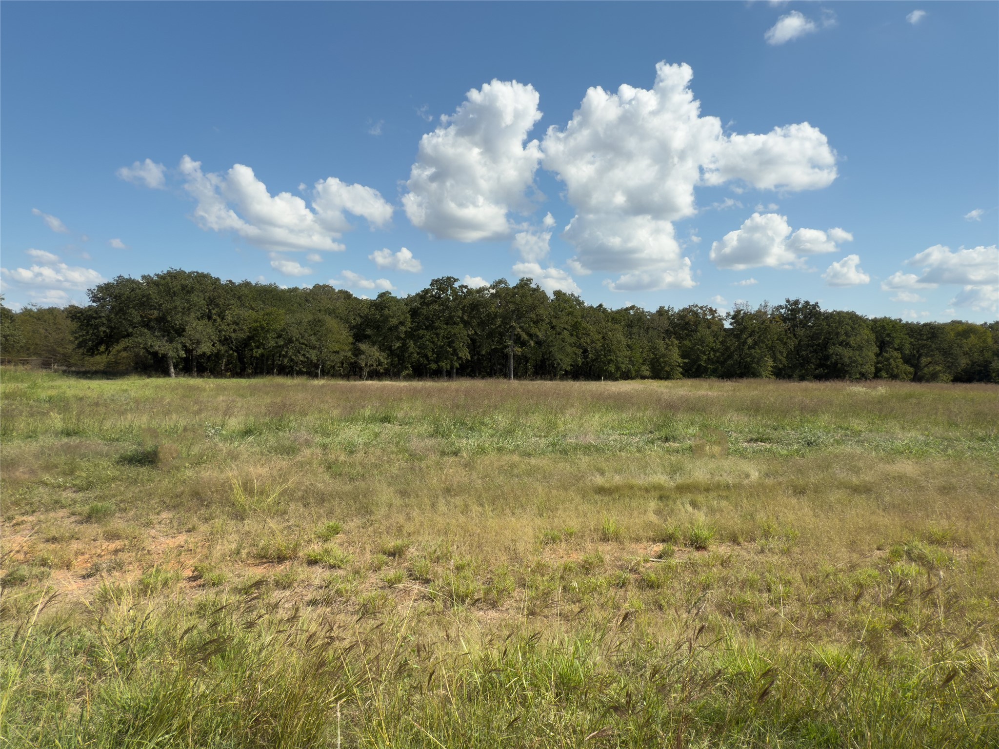 330 Rolling Ranch Boulevard Alvord TX 76225