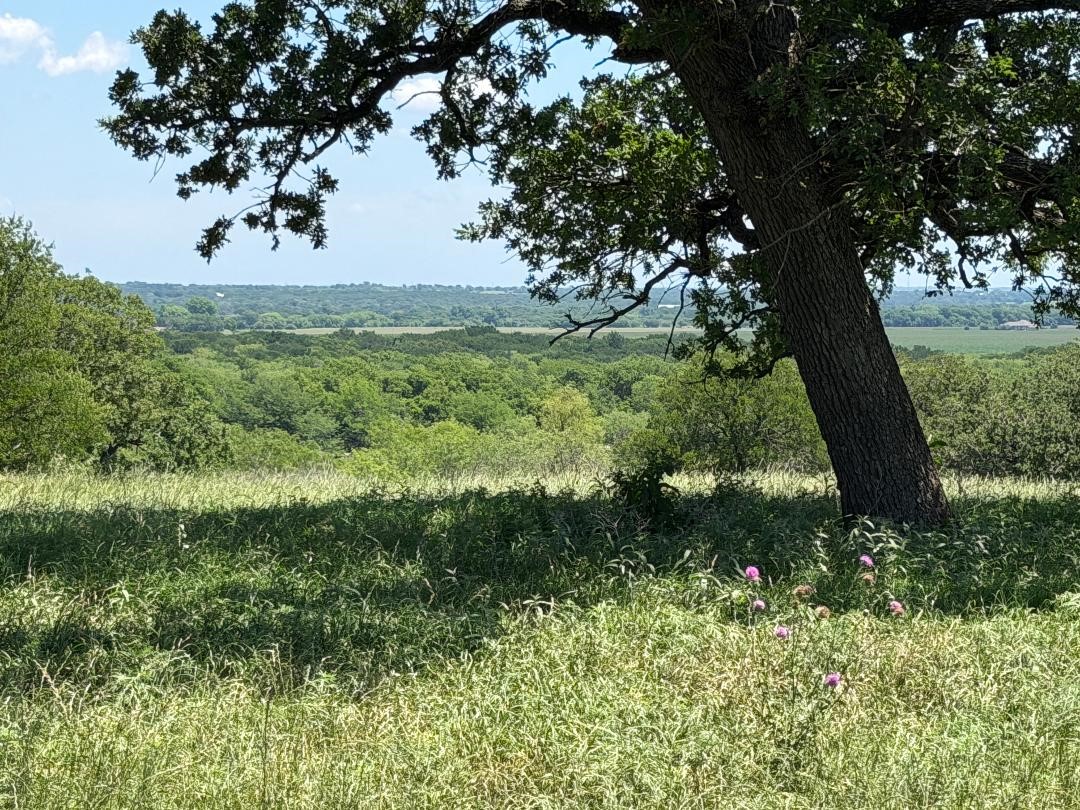 2041 Fm 933 Aquilla TX 76622