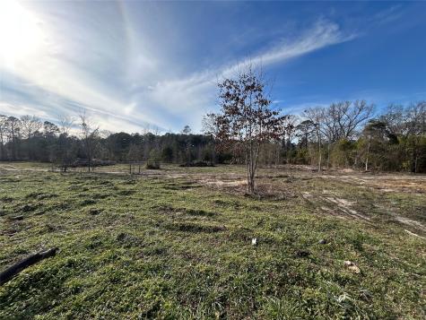 9219 County Road 152 N Overton TX 75684