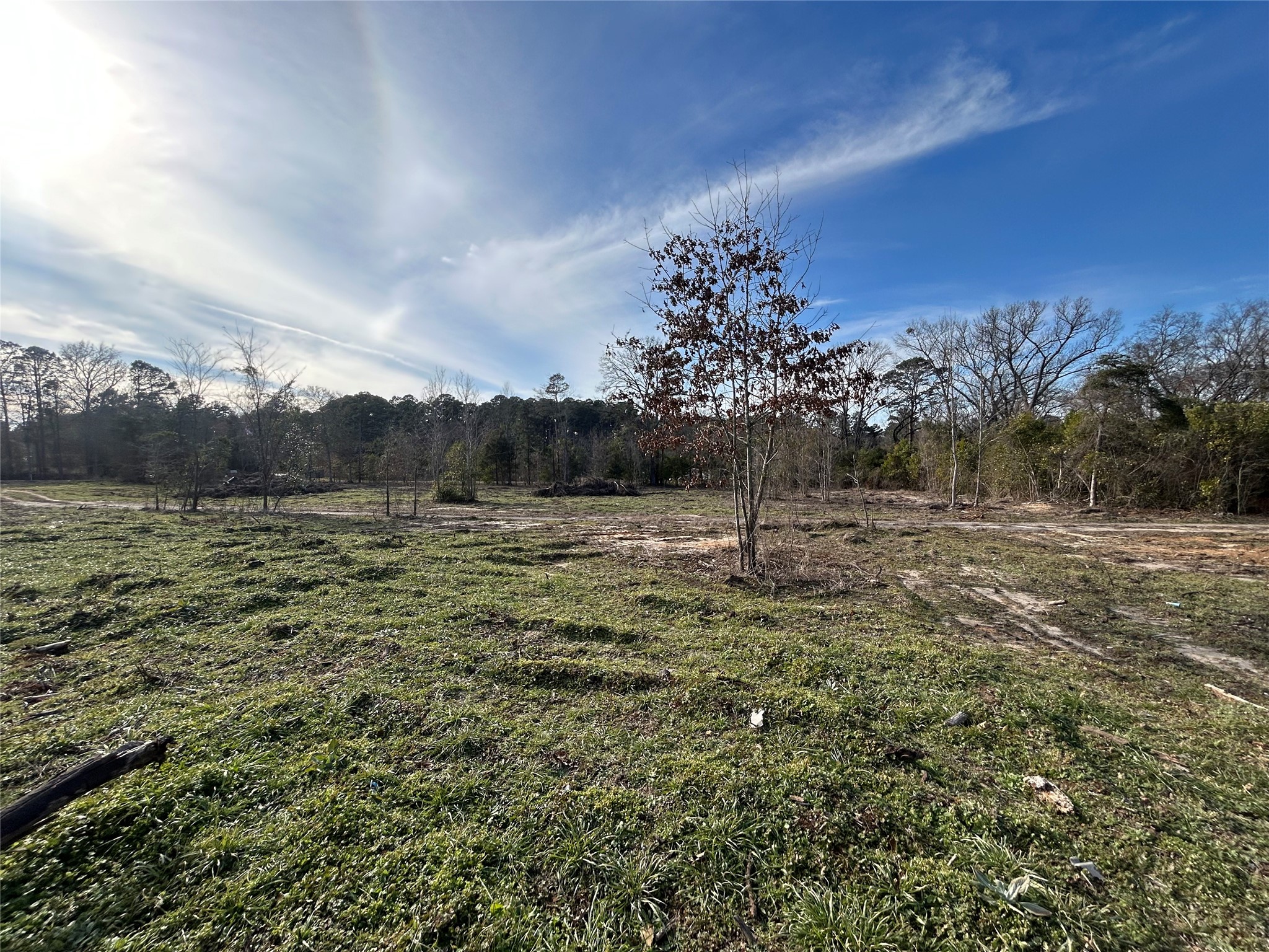 9219 County Road 152 N Overton TX 75684
