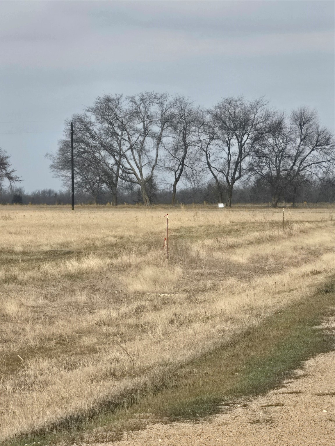 Lot 8 County Road 3512 Dike TX 75482