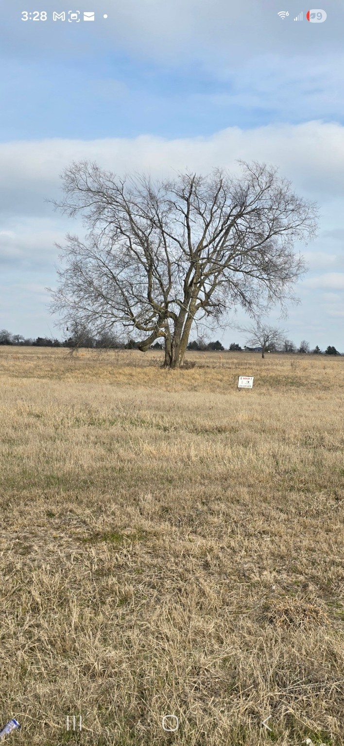 Lot 8 County Road 3512 Dike TX 75482