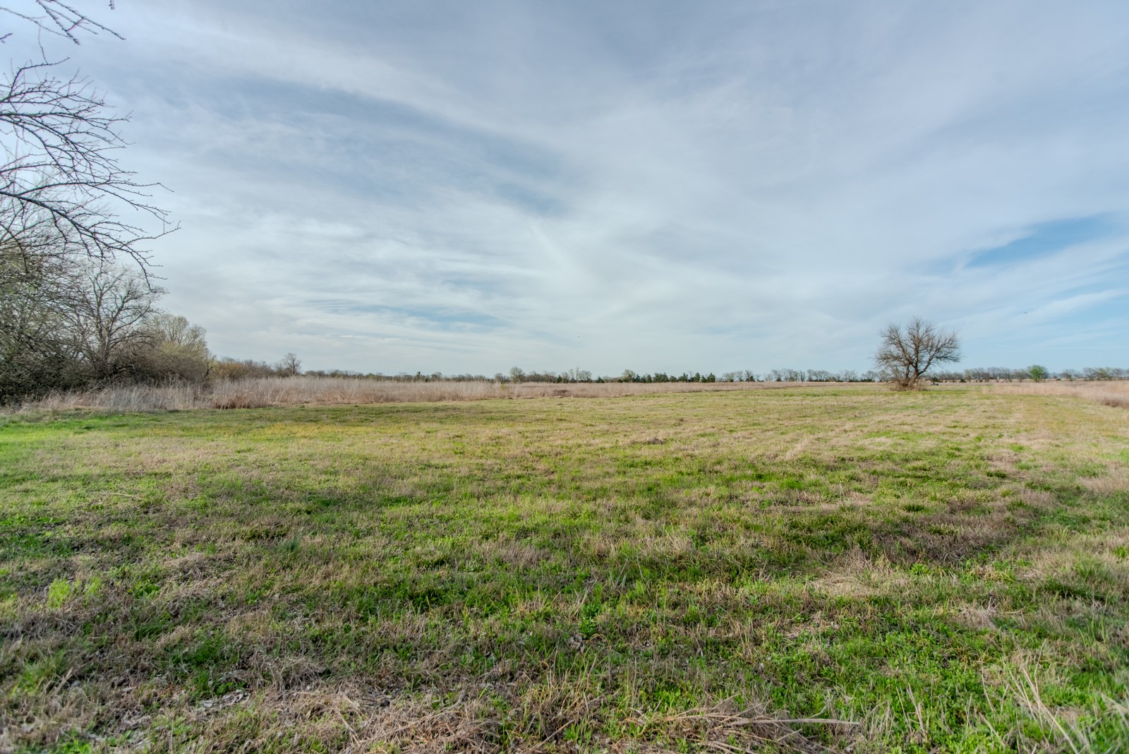Lot 39 Fm 904 S Pecan Gap TX 75469