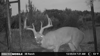 815 Cr 2080 Lometa TX 76853