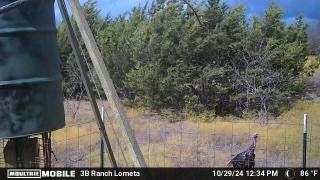 815 Cr 2080 Lometa TX 76853