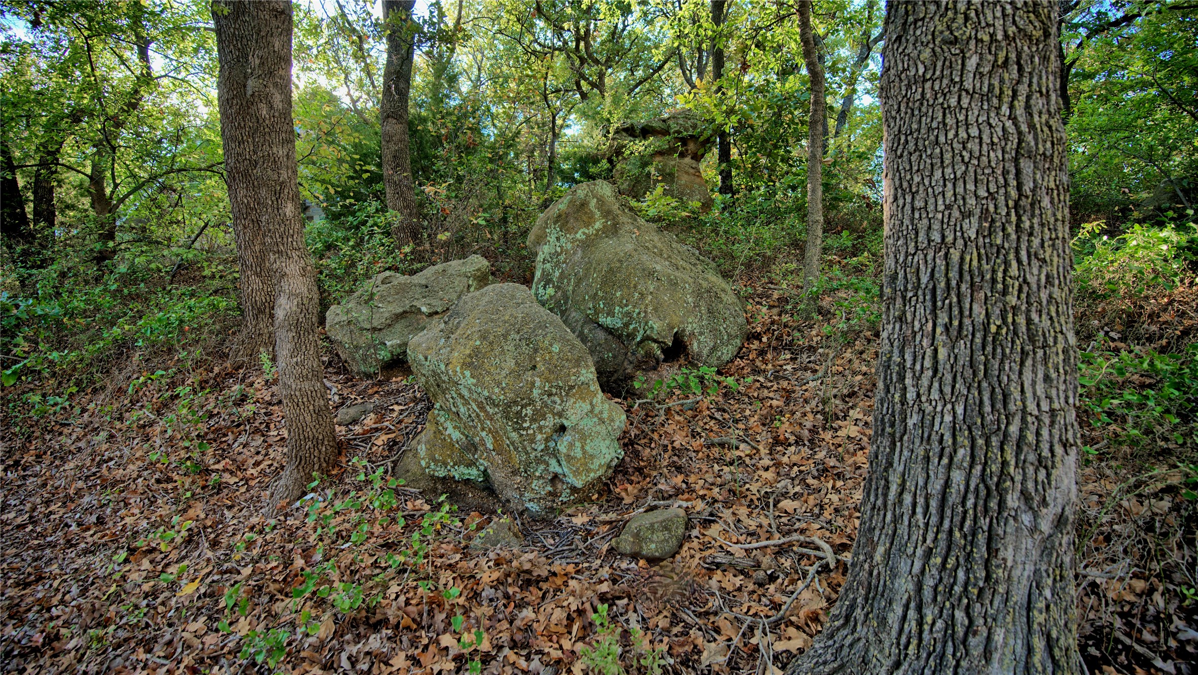 Tbd 1 Tradewinds Nocona TX 76255