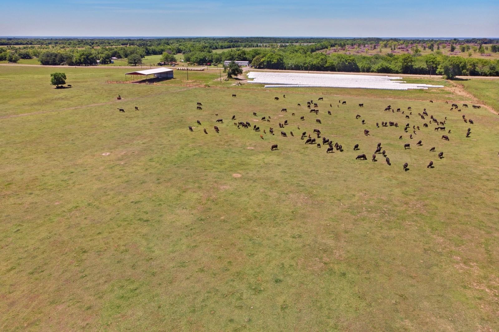 588 County Road 4760 Sulphur Springs TX 75482