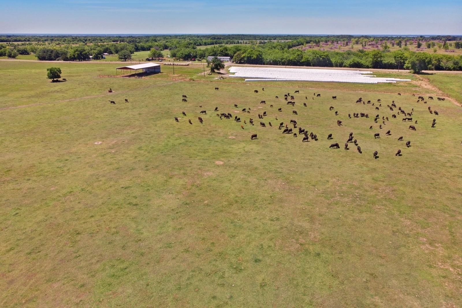 588 County Road 4760 Sulphur Springs TX 75482