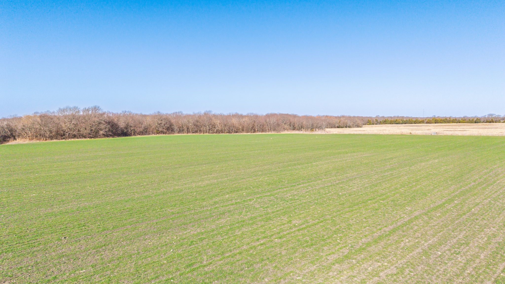 000 Cr 3140 Pecan Gap TX 75469