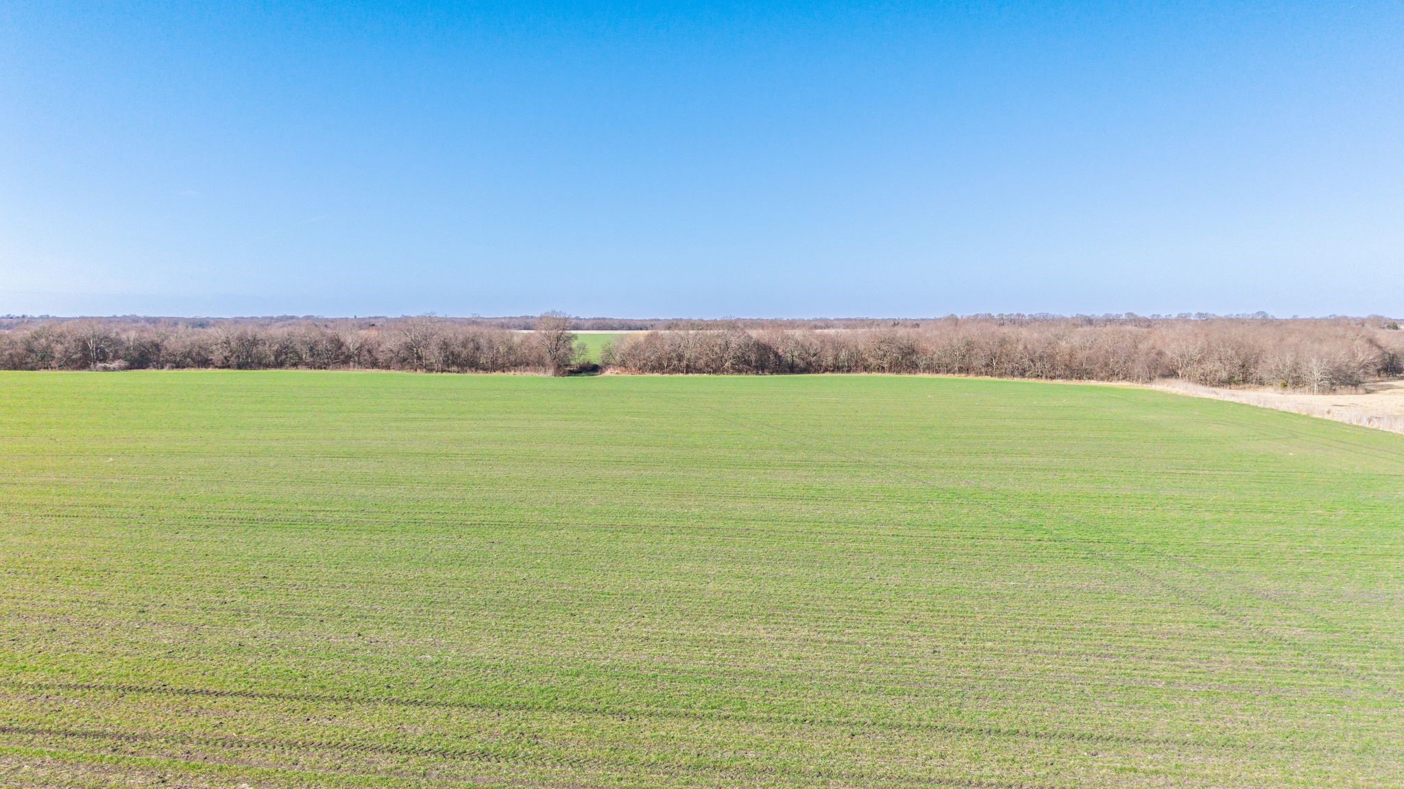 000 Cr 3140 Pecan Gap TX 75469
