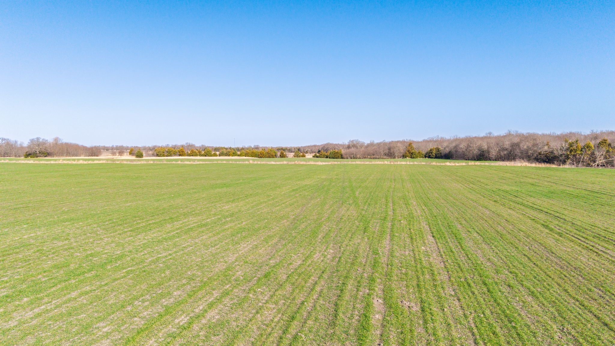 000 Cr 3140 Pecan Gap TX 75469