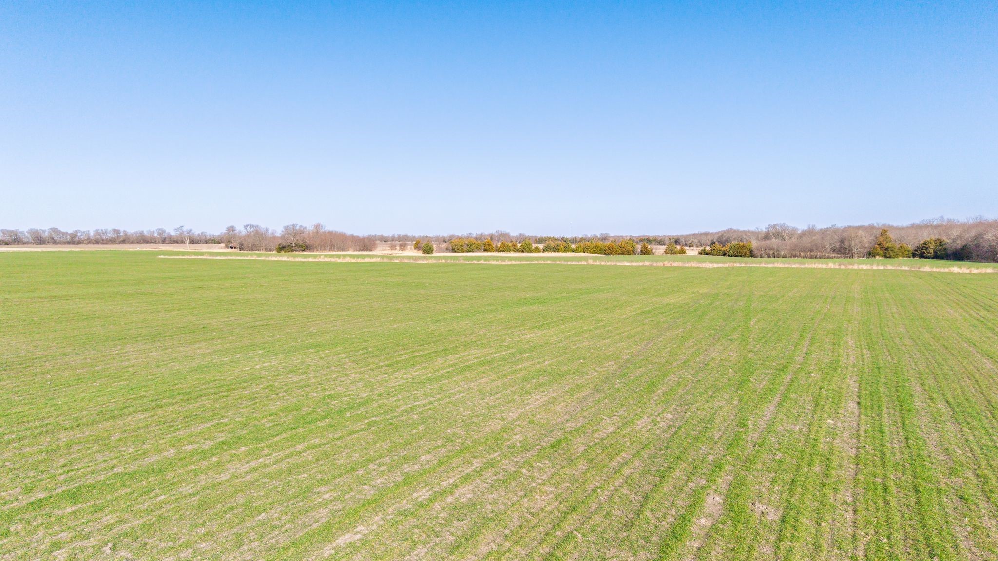 000 Cr 3140 Pecan Gap TX 75469