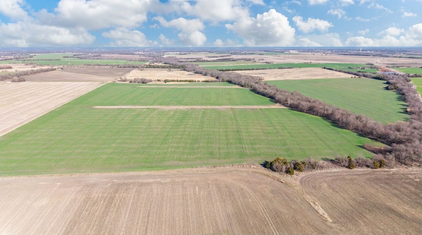 000 Cr 3140 Pecan Gap TX 75469