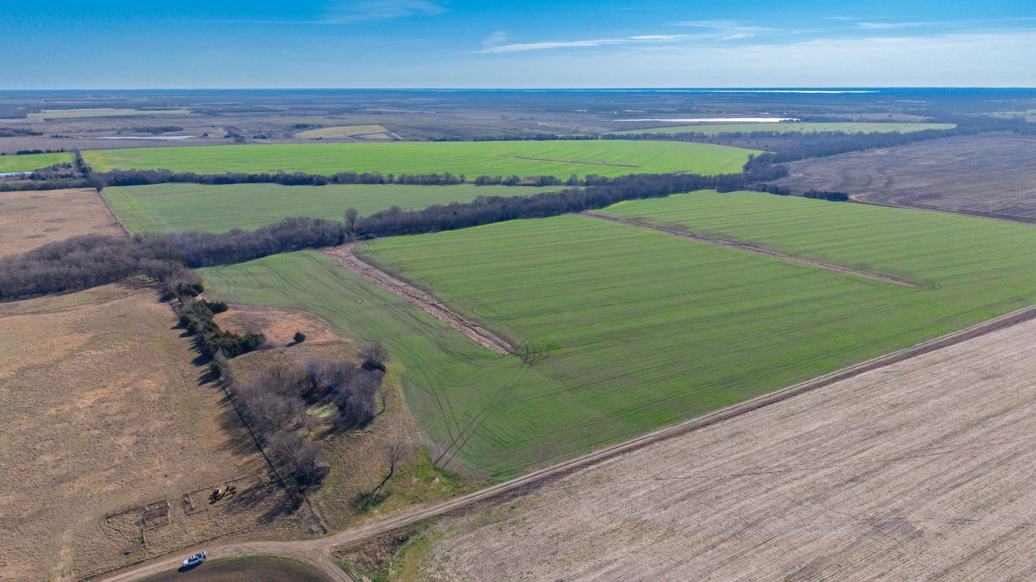 000 Cr 3140 Pecan Gap TX 75469