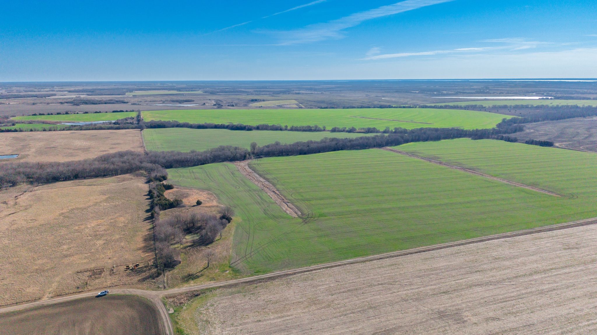 000 Cr 3140 Pecan Gap TX 75469