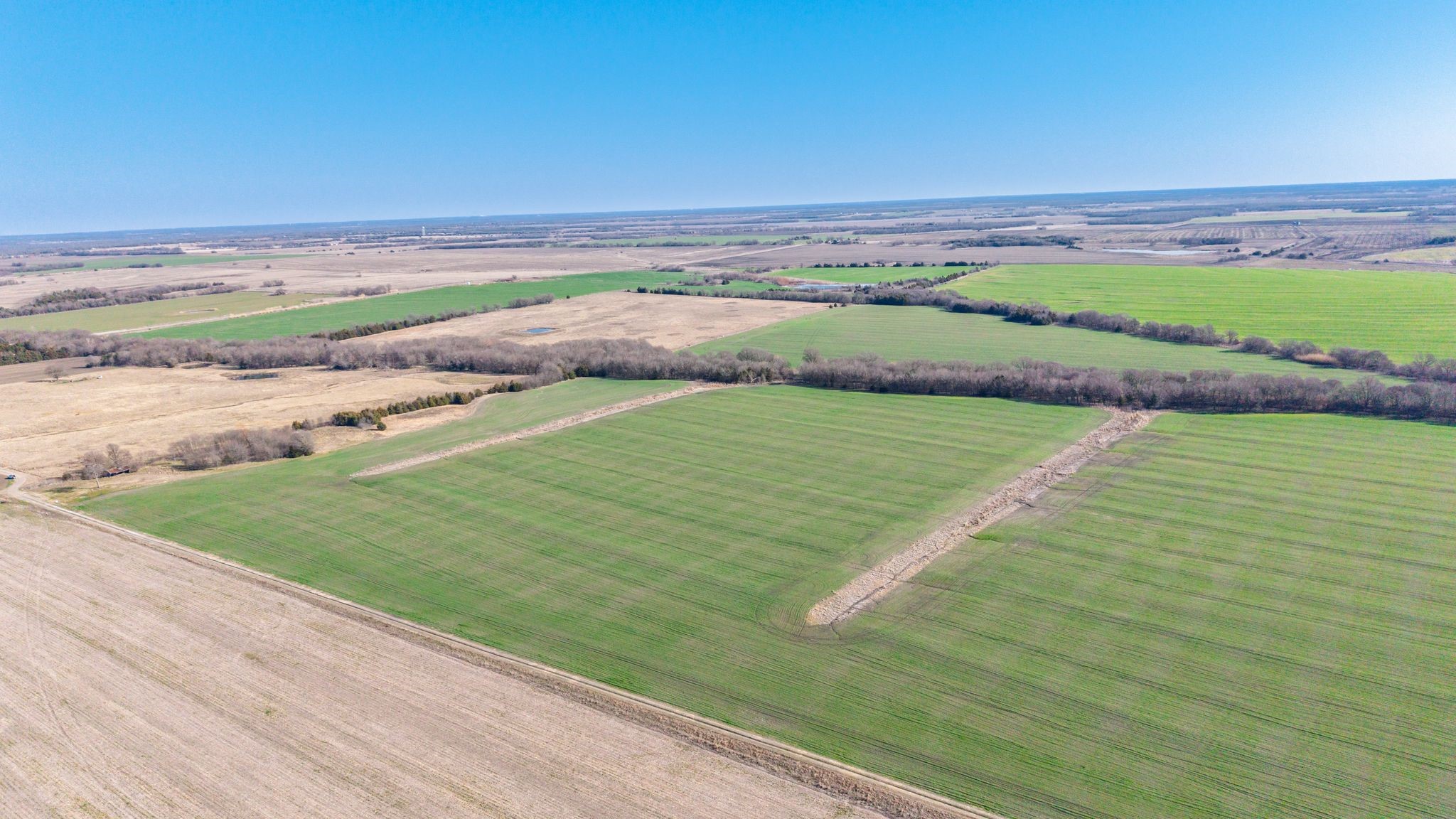000 Cr 3140 Pecan Gap TX 75469