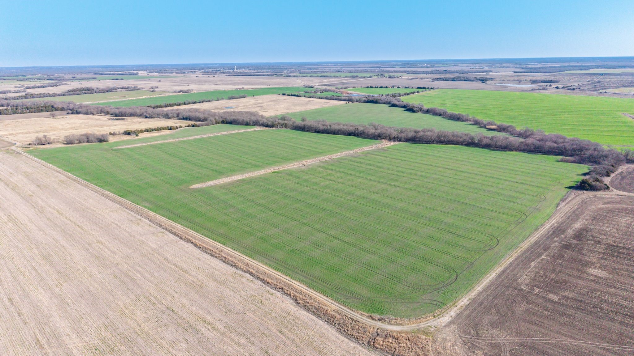 000 Cr 3140 Pecan Gap TX 75469