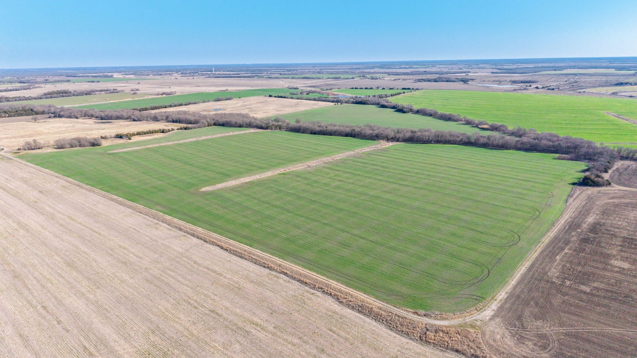 000 Cr 3140 Pecan Gap TX 75469
