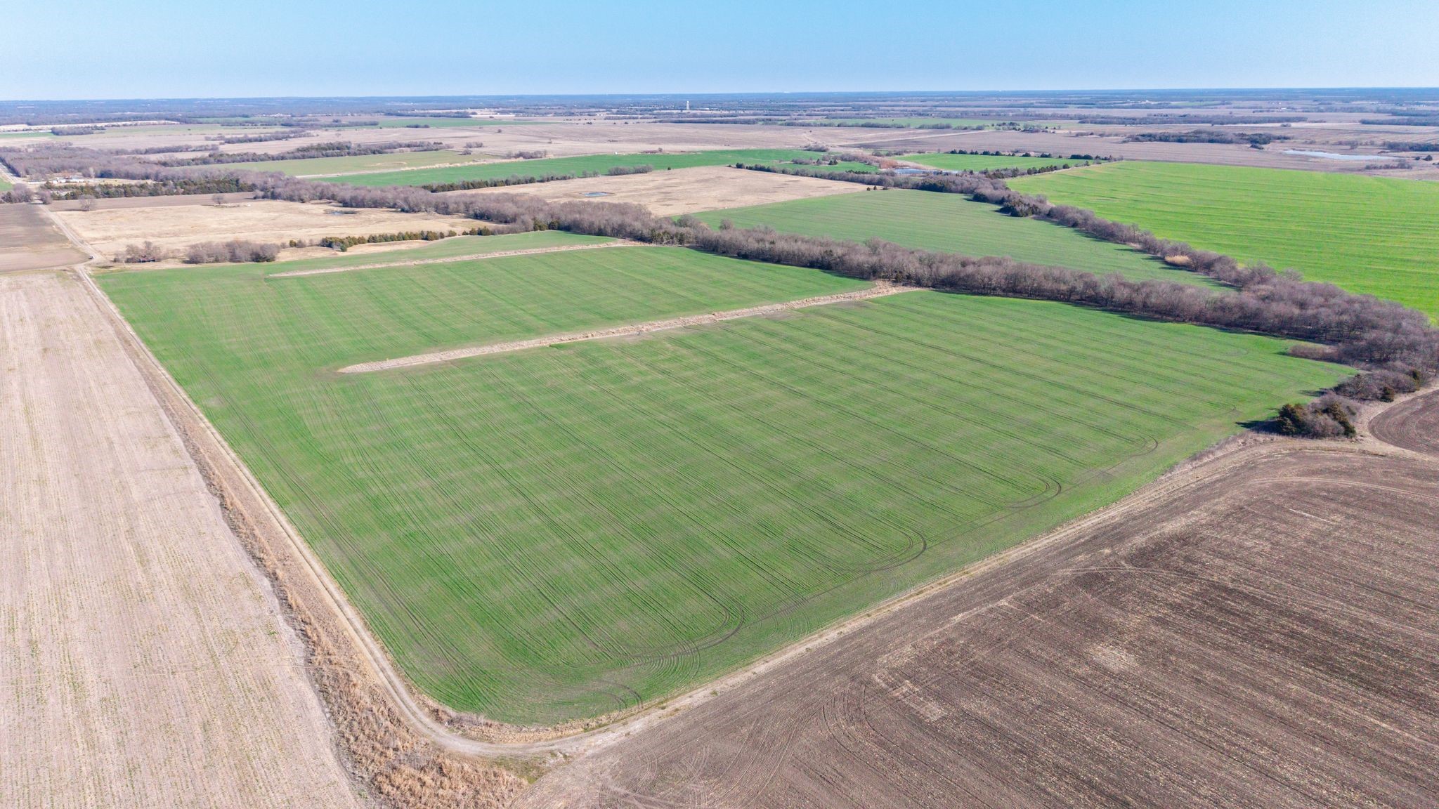 000 Cr 3140 Pecan Gap TX 75469