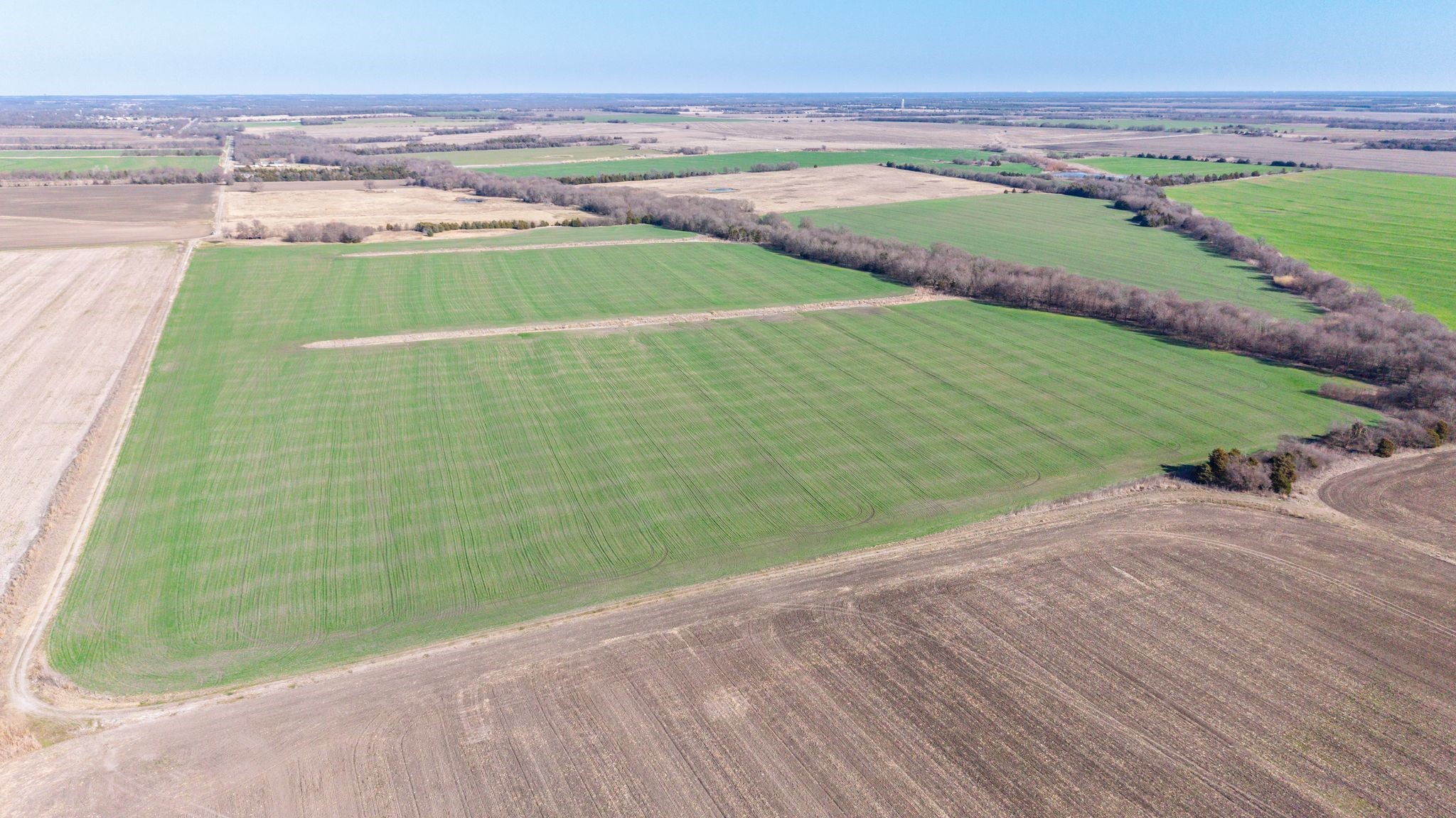 000 Cr 3140 Pecan Gap TX 75469