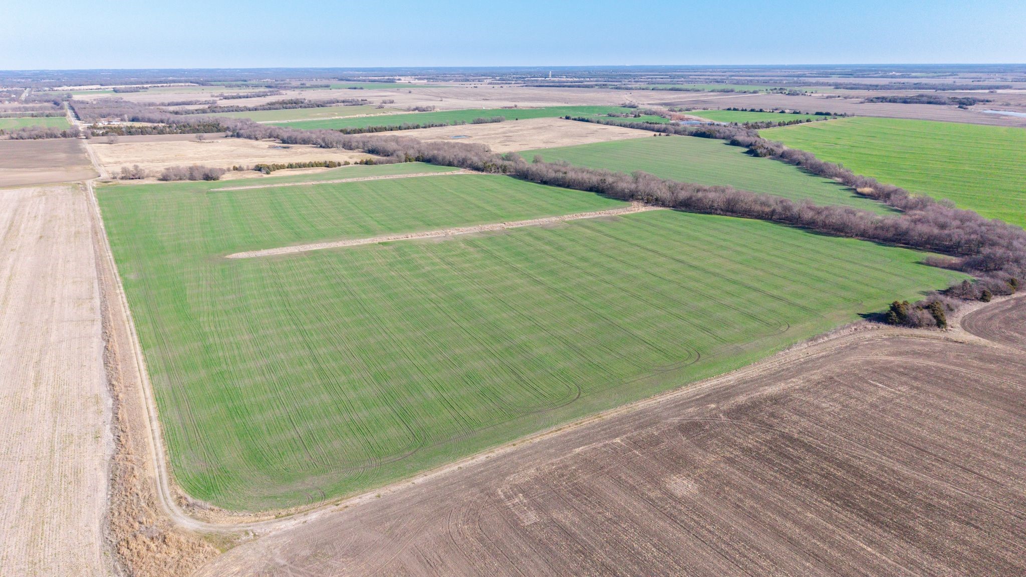 000 Cr 3140 Pecan Gap TX 75469