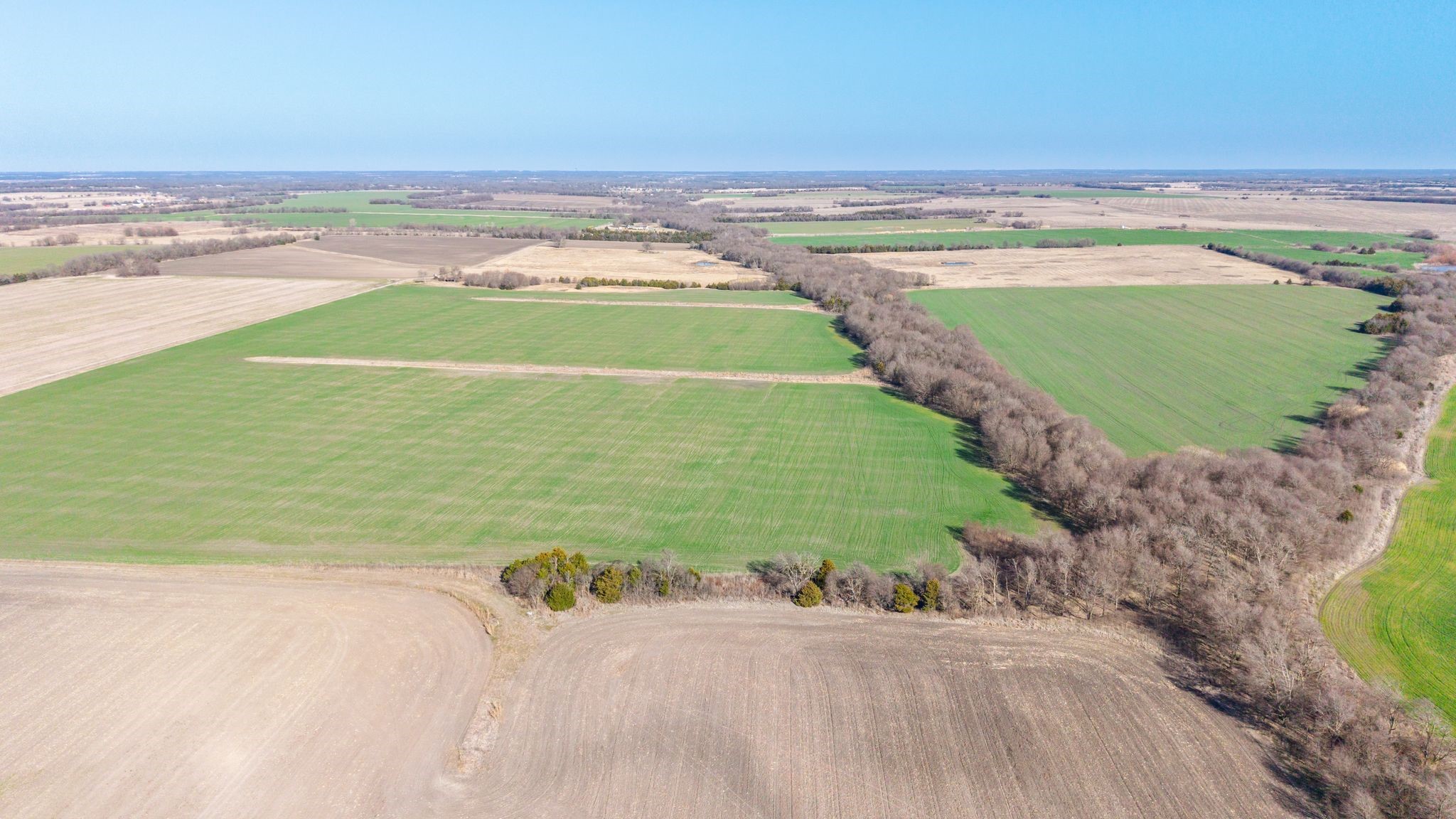 000 Cr 3140 Pecan Gap TX 75469