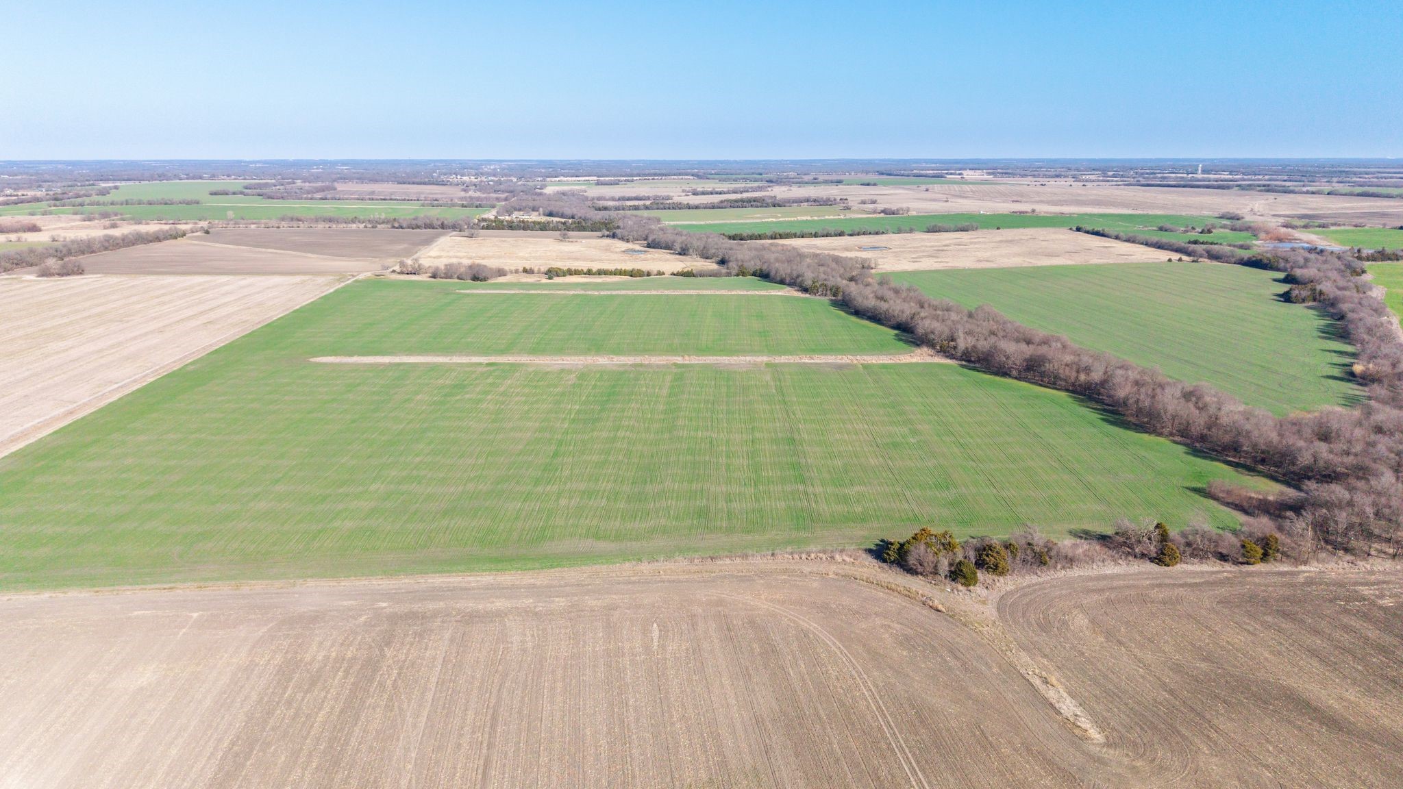 000 Cr 3140 Pecan Gap TX 75469