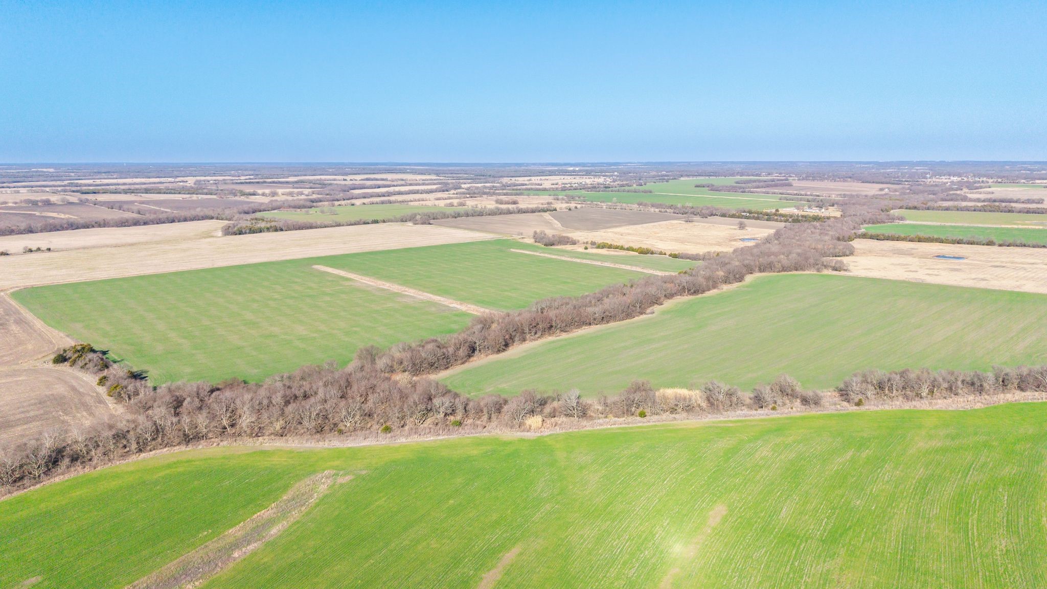 000 Cr 3140 Pecan Gap TX 75469