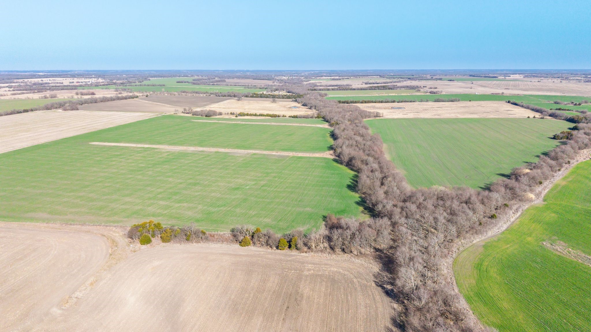 000 Cr 3140 Pecan Gap TX 75469