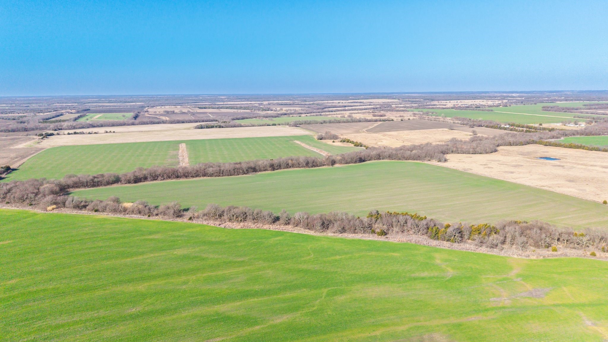 000 Cr 3140 Pecan Gap TX 75469