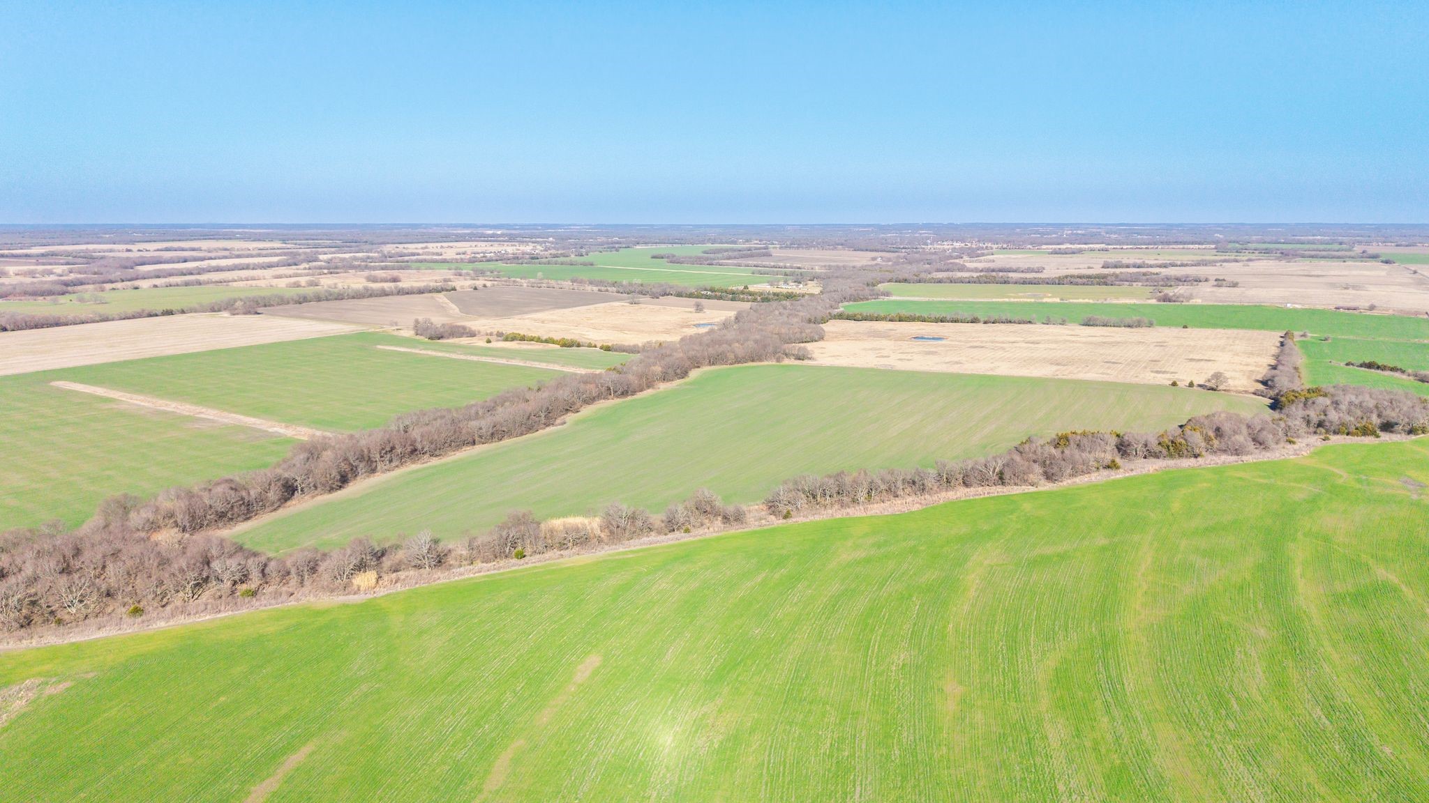 000 Cr 3140 Pecan Gap TX 75469