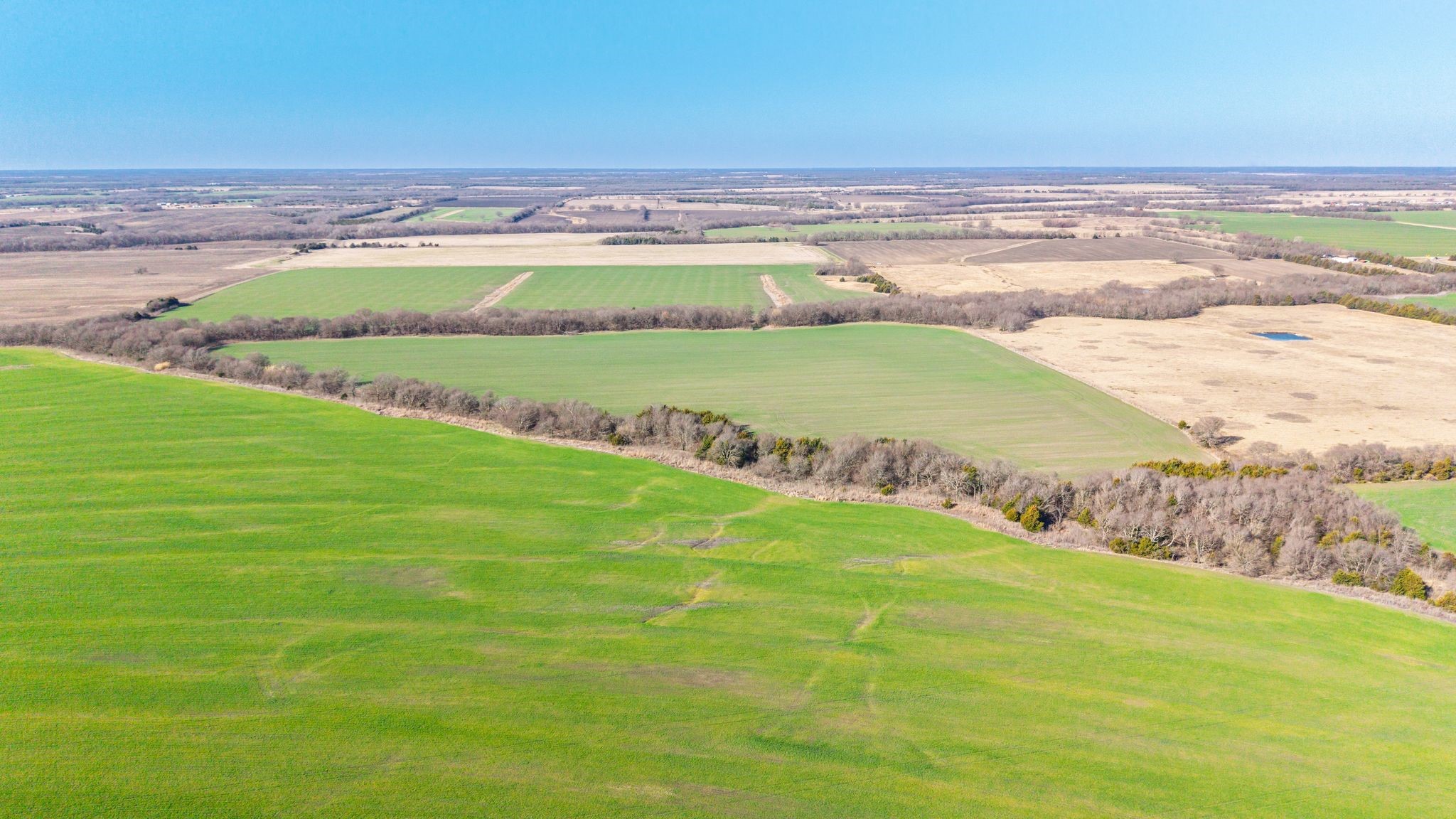 000 Cr 3140 Pecan Gap TX 75469