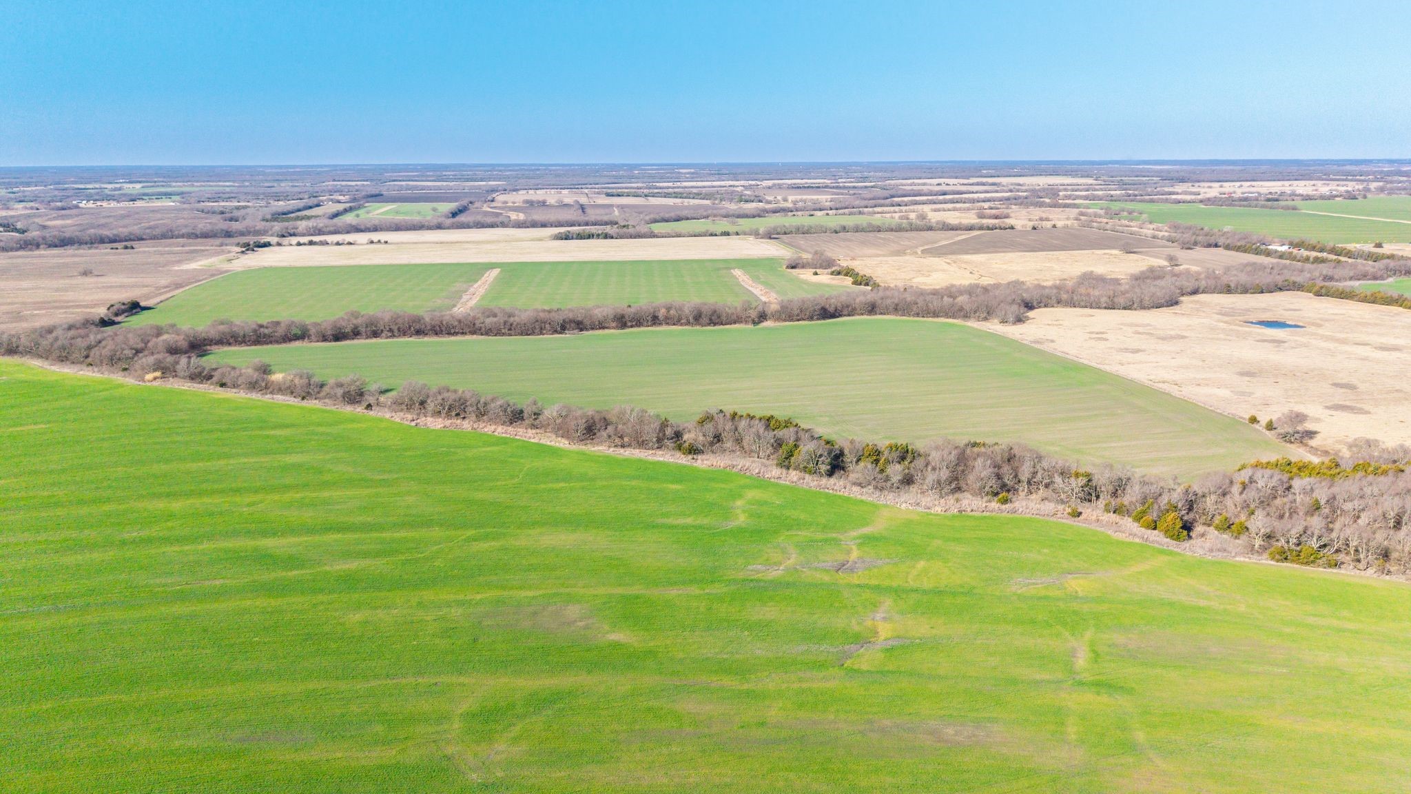 000 Cr 3140 Pecan Gap TX 75469