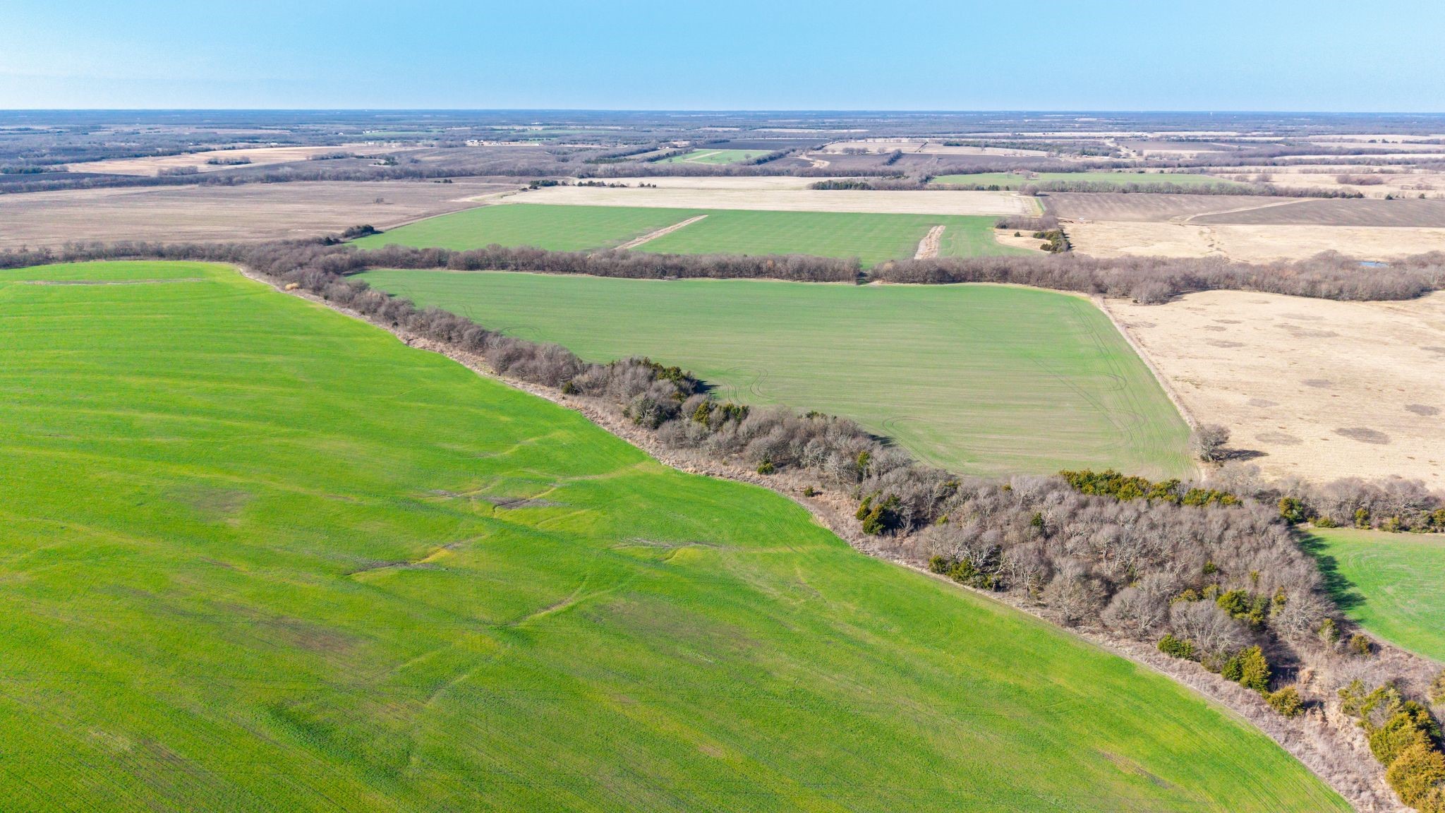 000 Cr 3140 Pecan Gap TX 75469