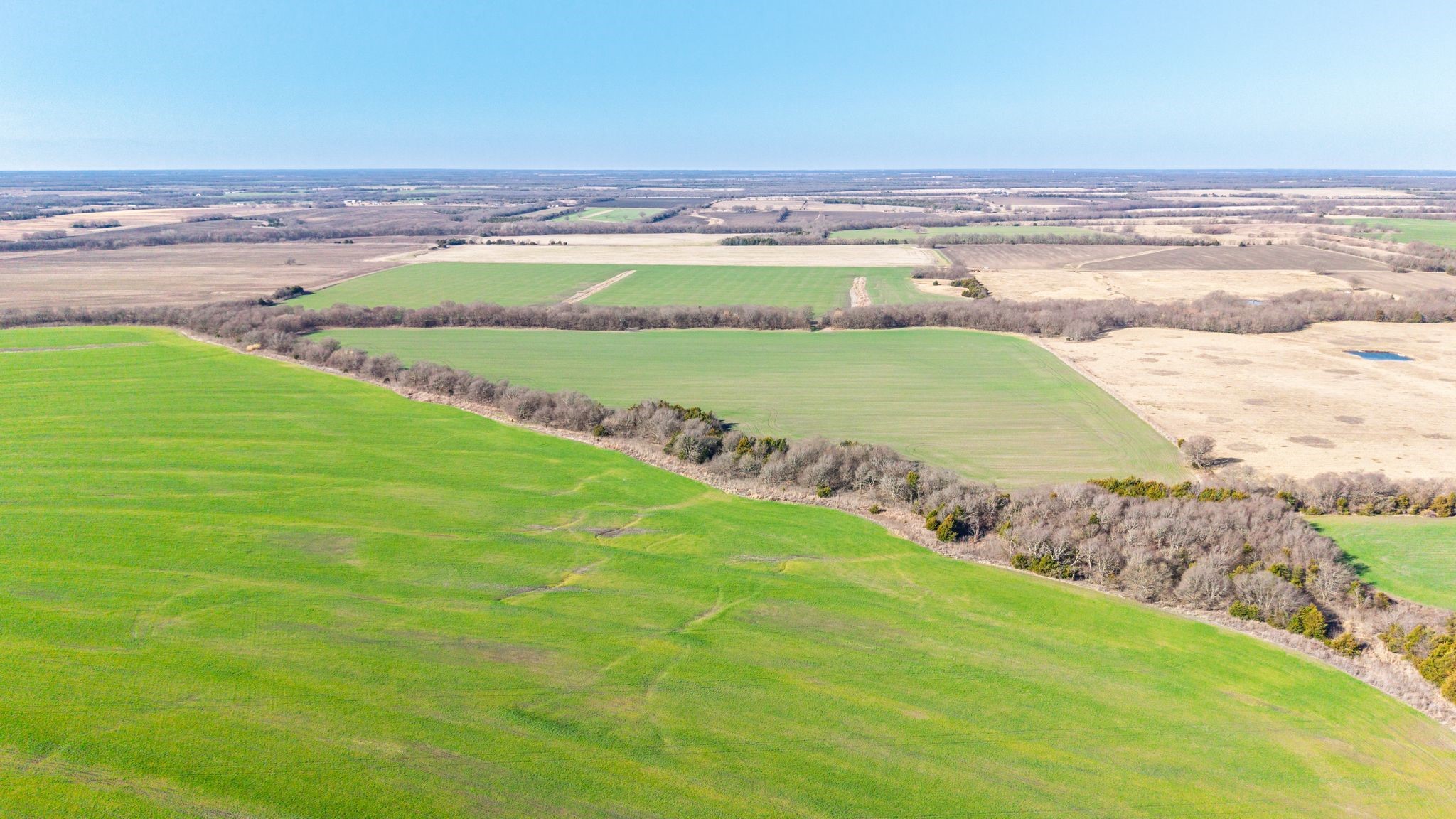 000 Cr 3140 Pecan Gap TX 75469