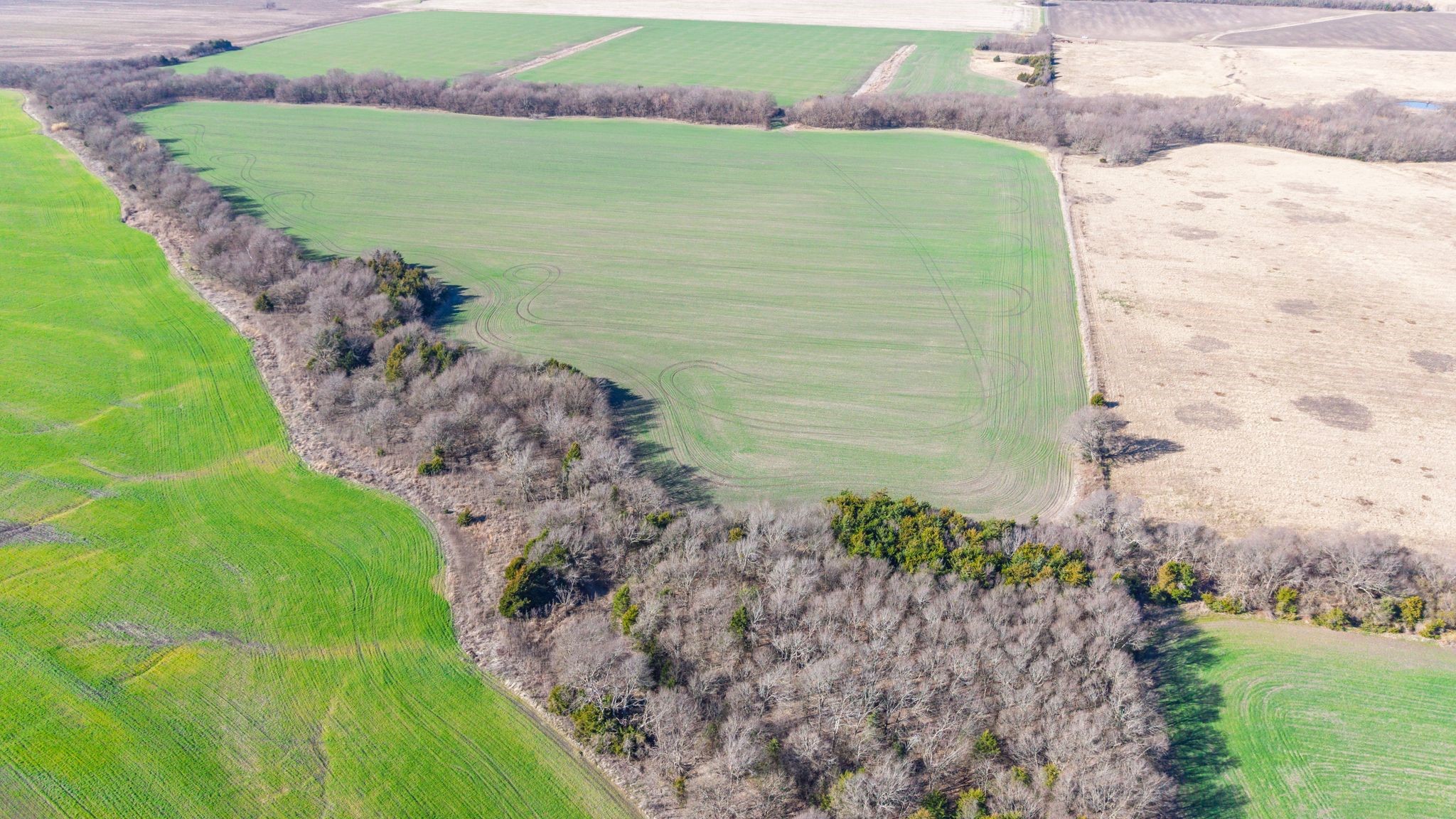 000 Cr 3140 Pecan Gap TX 75469