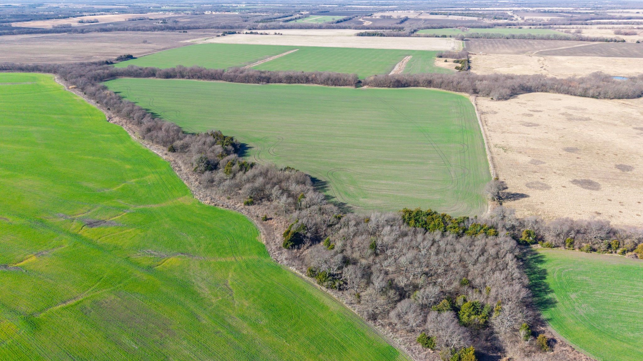 000 Cr 3140 Pecan Gap TX 75469
