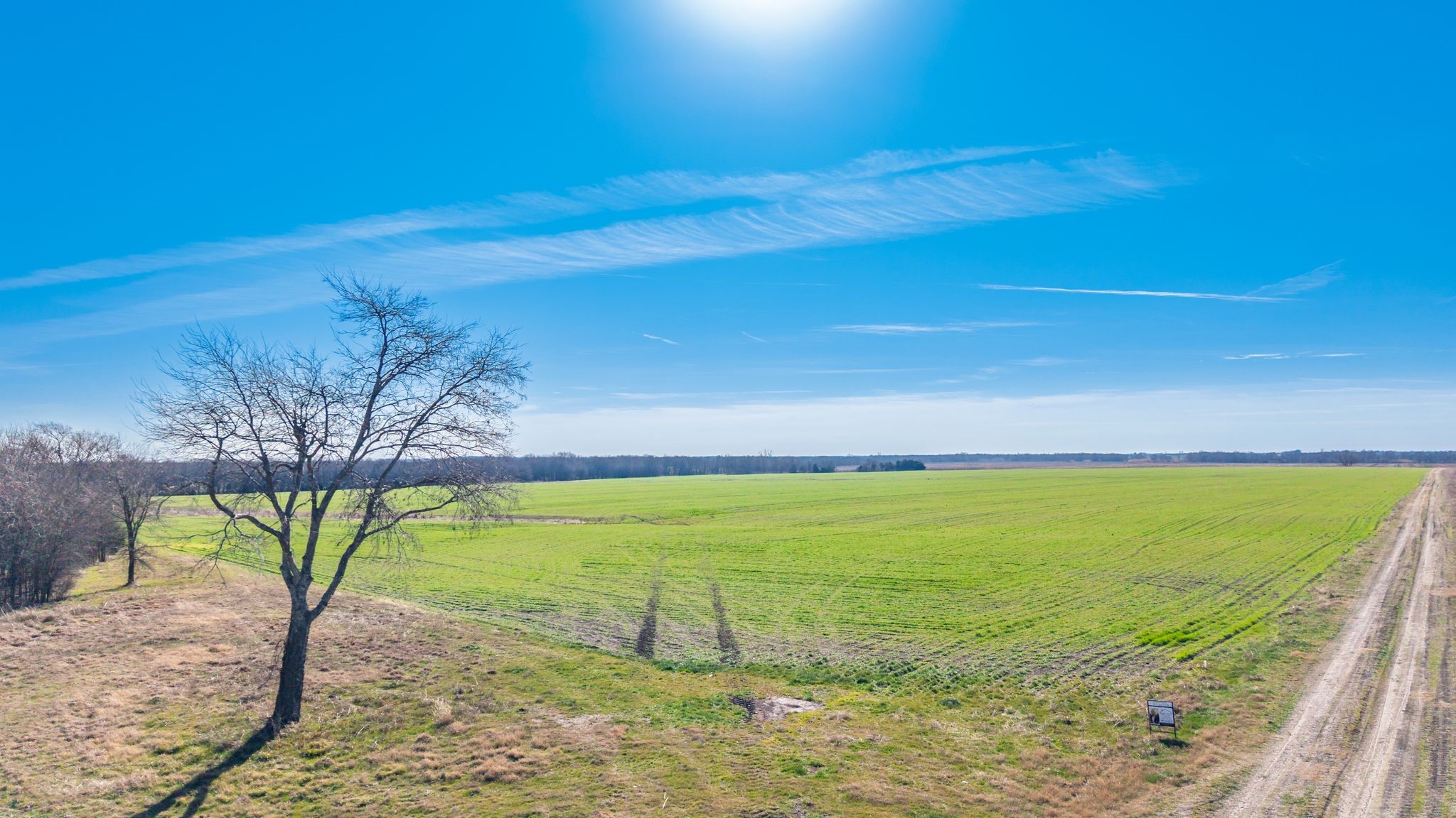 000 Cr 3140 Pecan Gap TX 75469