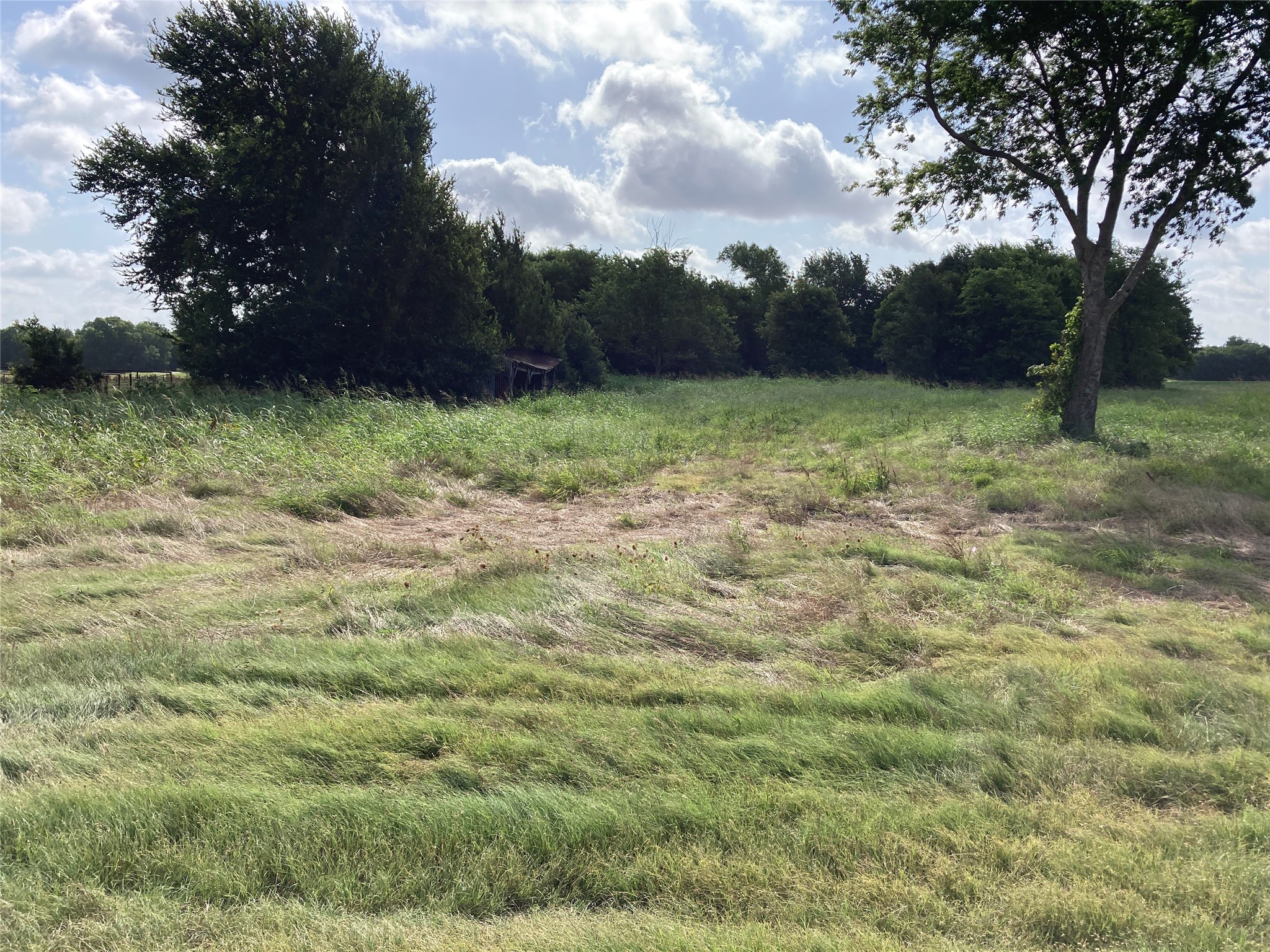 000 Cr 3140 Pecan Gap TX 75469