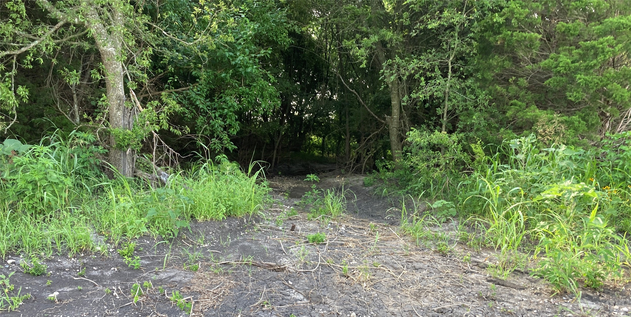 000 Cr 3140 Pecan Gap TX 75469