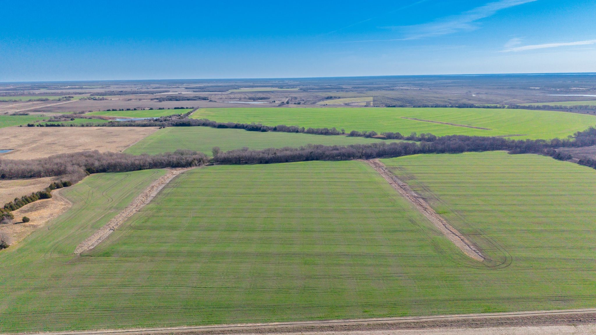000 Cr 3140 Pecan Gap TX 75469